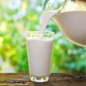 Bio tej, tejtermék és tejpótló