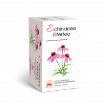 Bioextra echinacea tea 20x2g fehér 40g