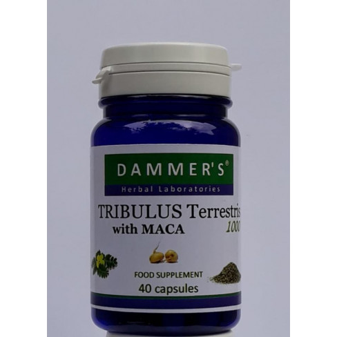 Vásároljon Dammers tribulus terrestris királydinnye kapszula 40db terméket - 3.890 Ft-ért