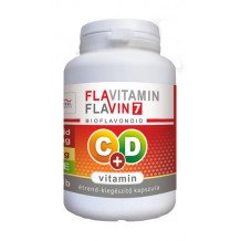 FLAVITAMIN C+D VITAMIN 100 DB