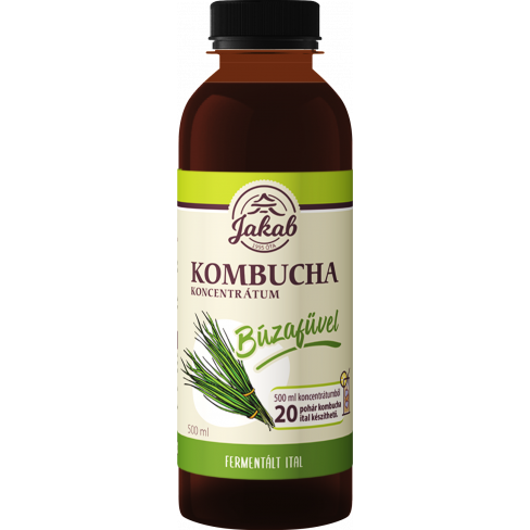 Vásároljon Kombucha tea koncentrátum búzafű 500ml terméket - 2.066 Ft-ért