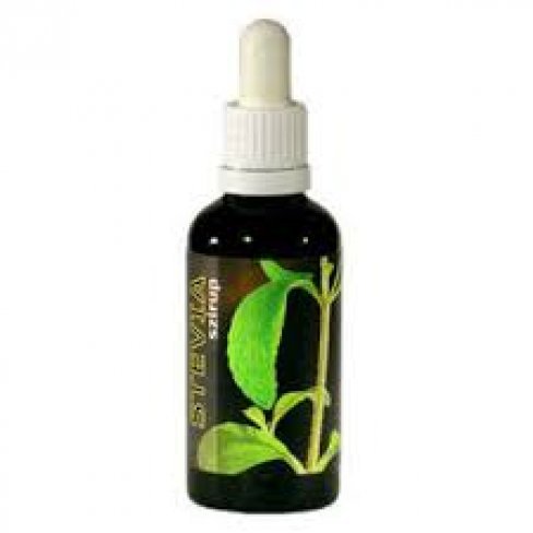 Vásároljon Vesta stevia szirup barna 50ml terméket - 3.073 Ft-ért